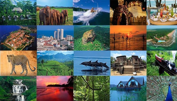 Sri Lanka Scenic Tours